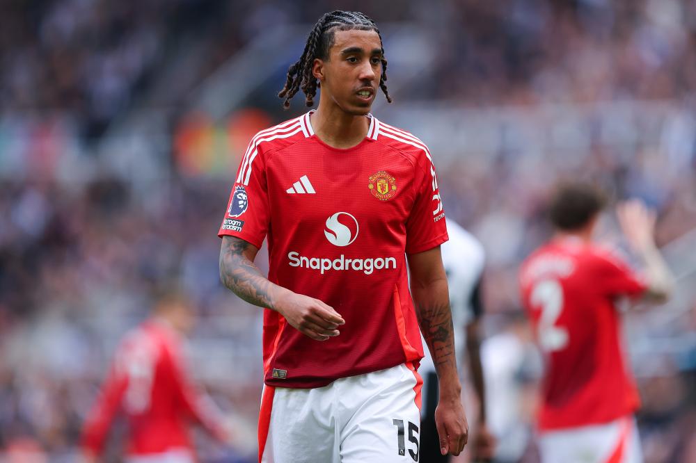 向于培养新 向于培养新